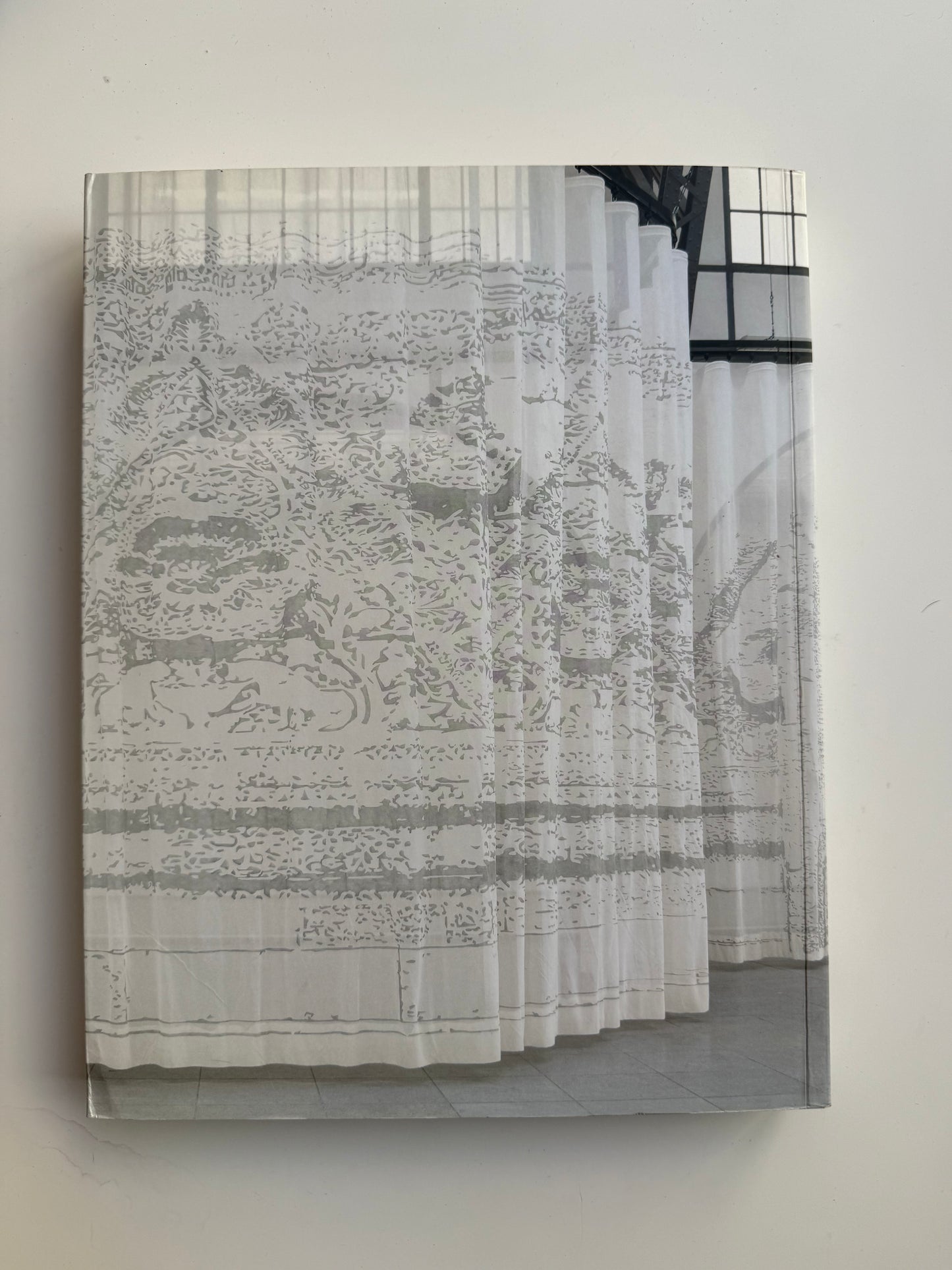 Mariana Castillo Deball, Parergon