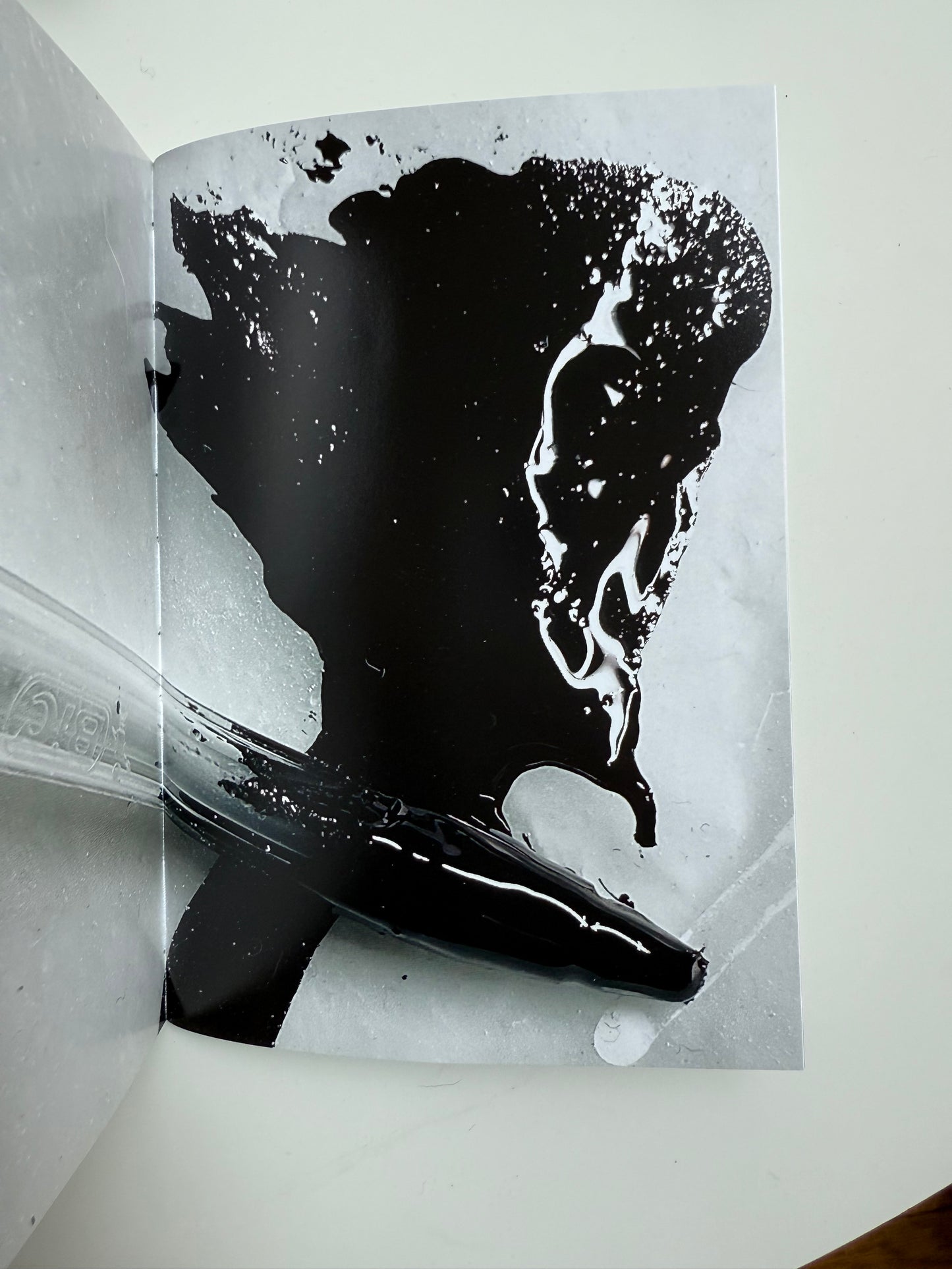 Offering Body and Soul to A Radical Alterity, Elise Nguyen Quoc