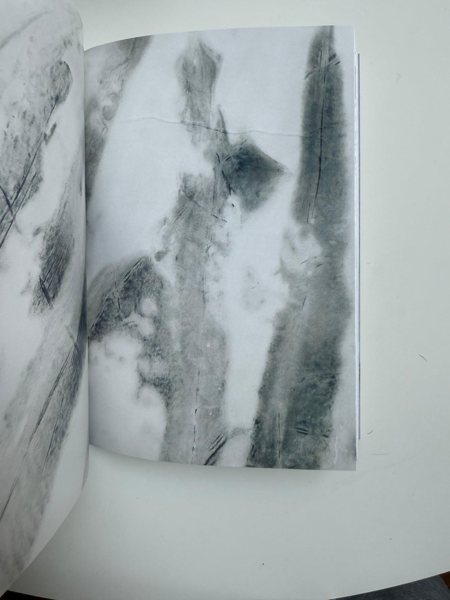 Offering Body and Soul to A Radical Alterity, Elise Nguyen Quoc