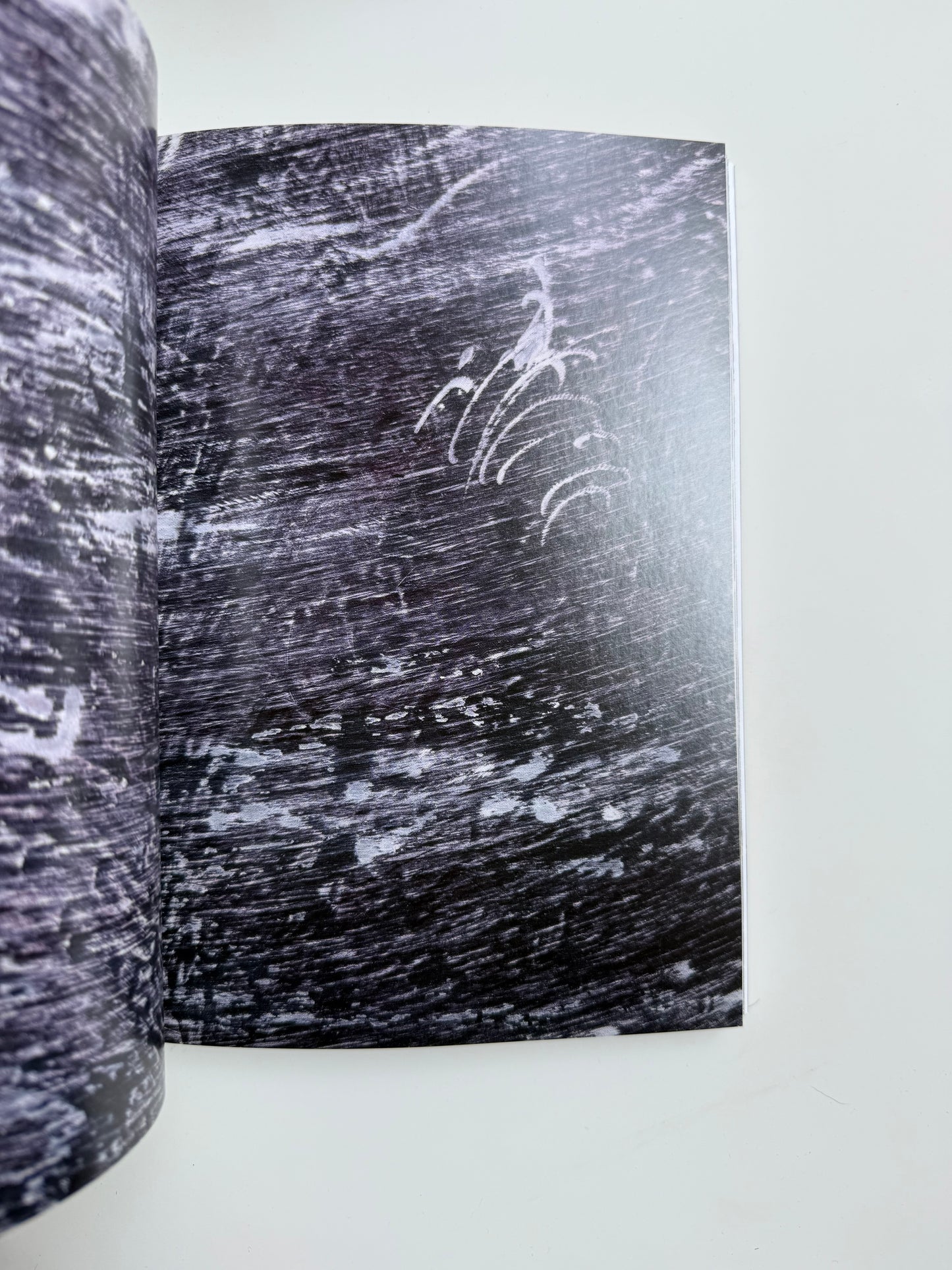 Offering Body and Soul to A Radical Alterity, Elise Nguyen Quoc