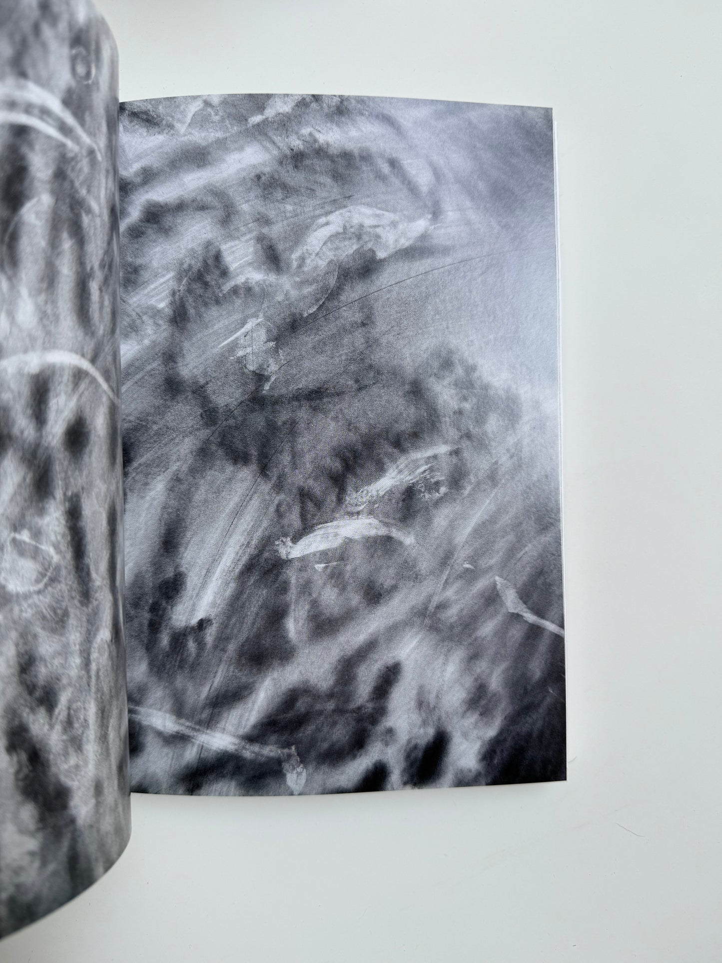 Offering Body and Soul to A Radical Alterity, Elise Nguyen Quoc