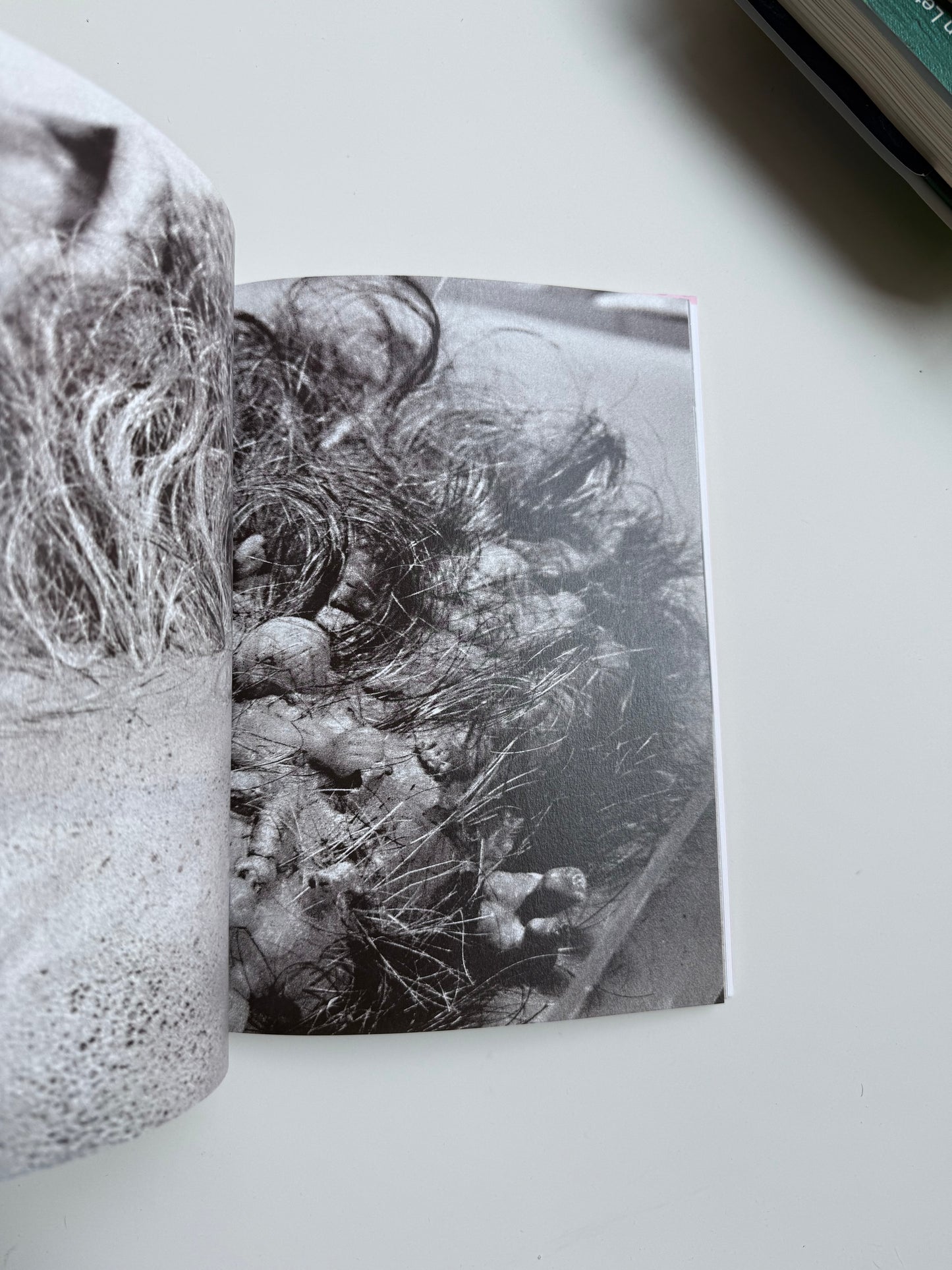 2000 WORDS: ROBERTO CUOGHI