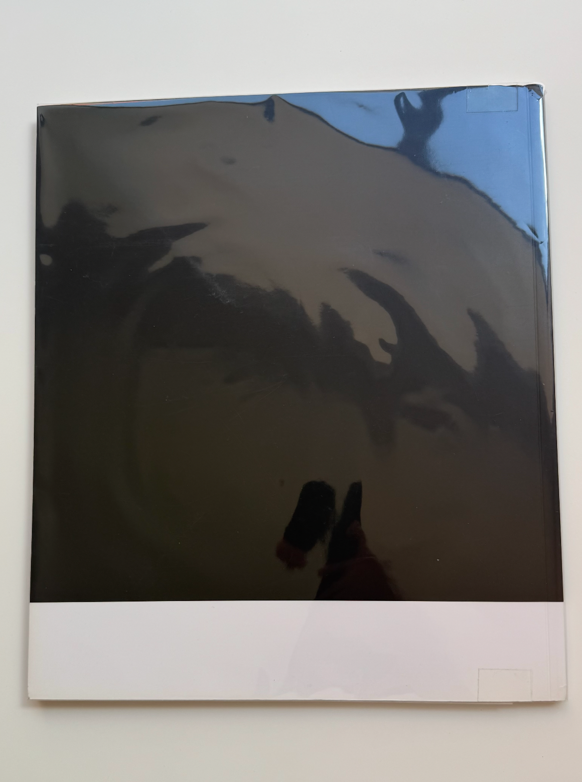 In Order To See, Hiroshi Ishigaki