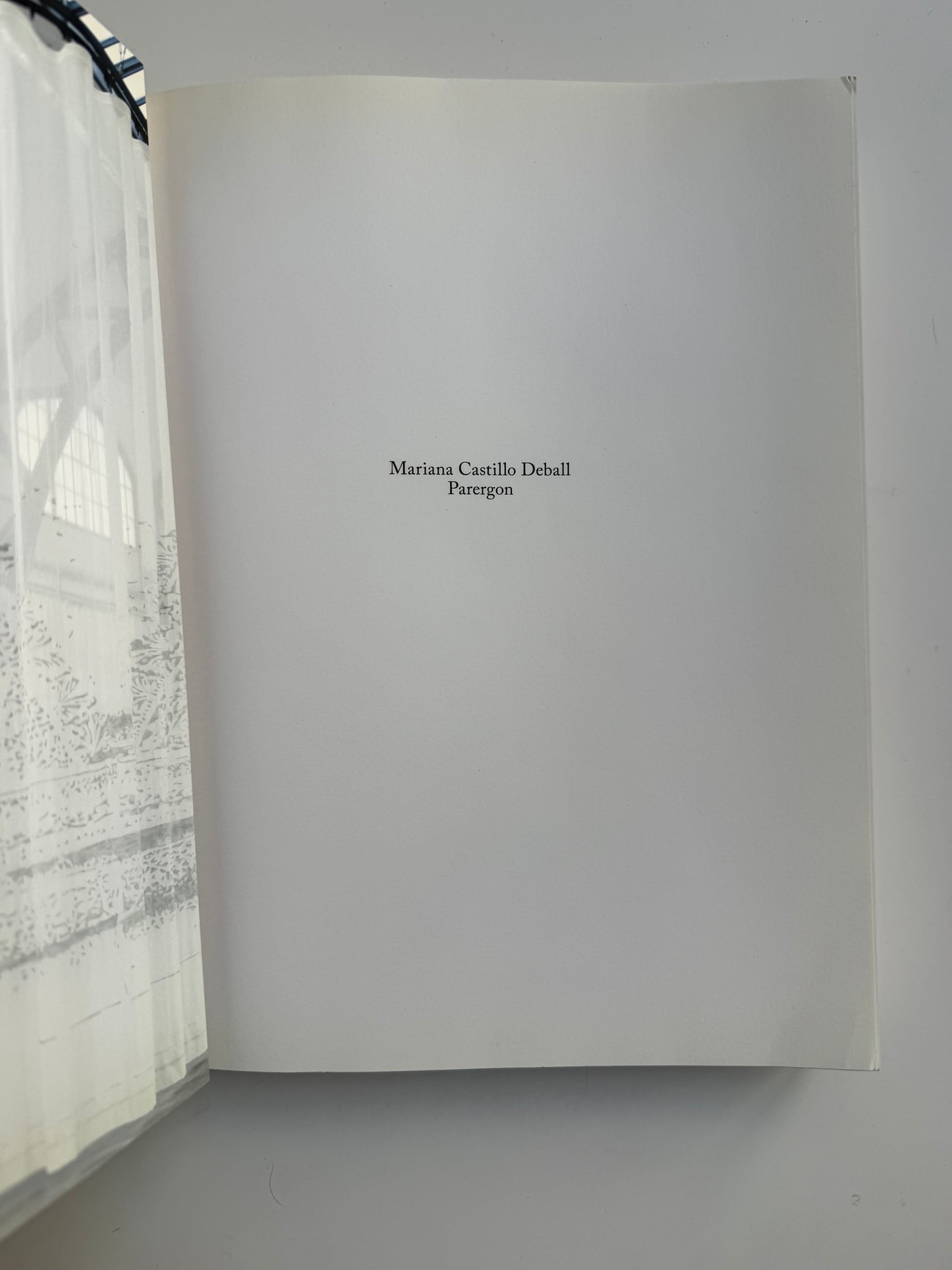 Mariana Castillo Deball, Parergon