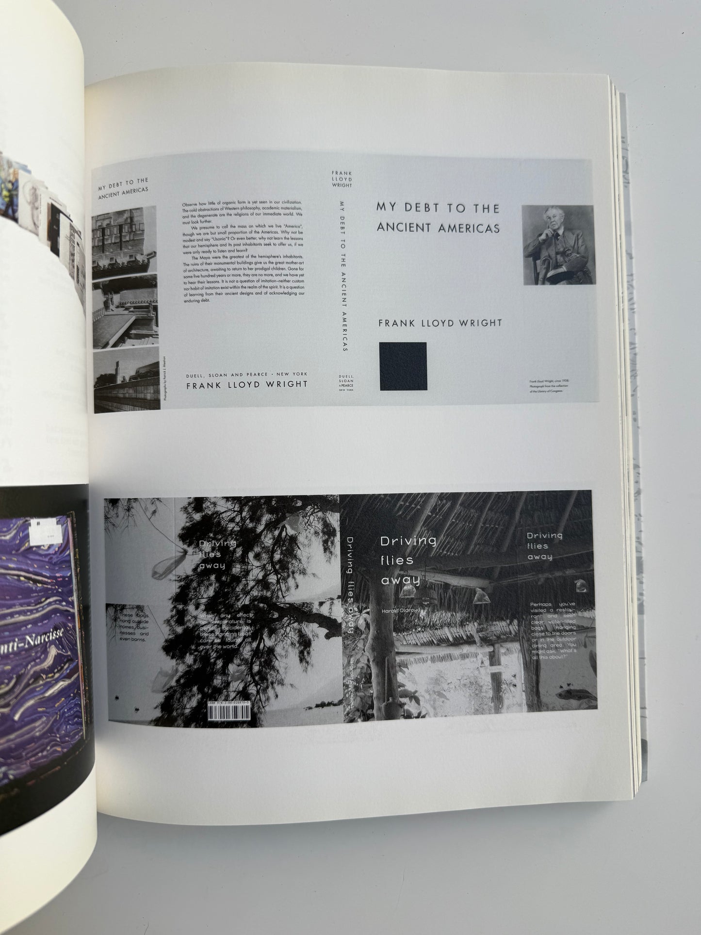 Mariana Castillo Deball, Parergon