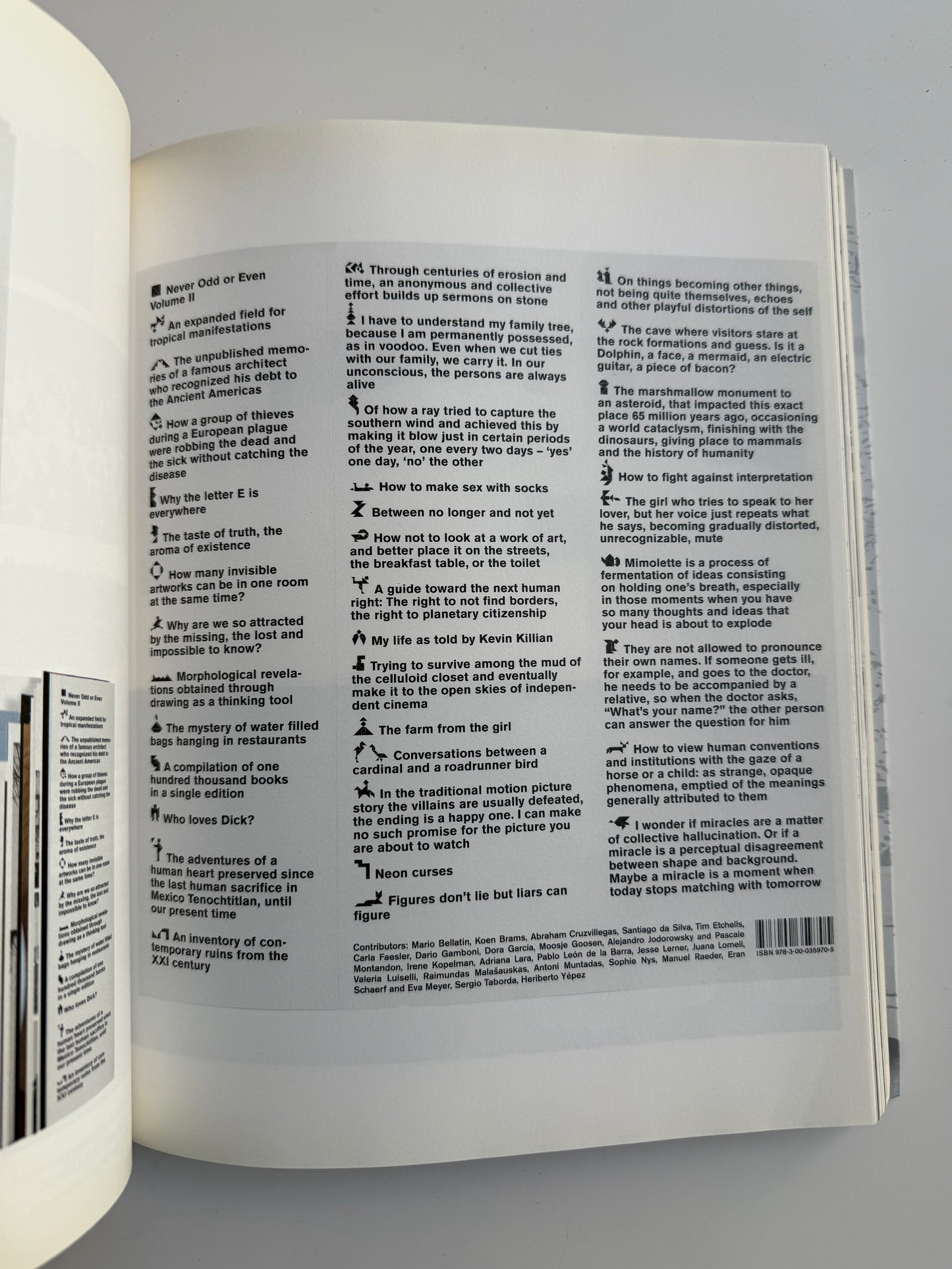 Mariana Castillo Deball, Parergon