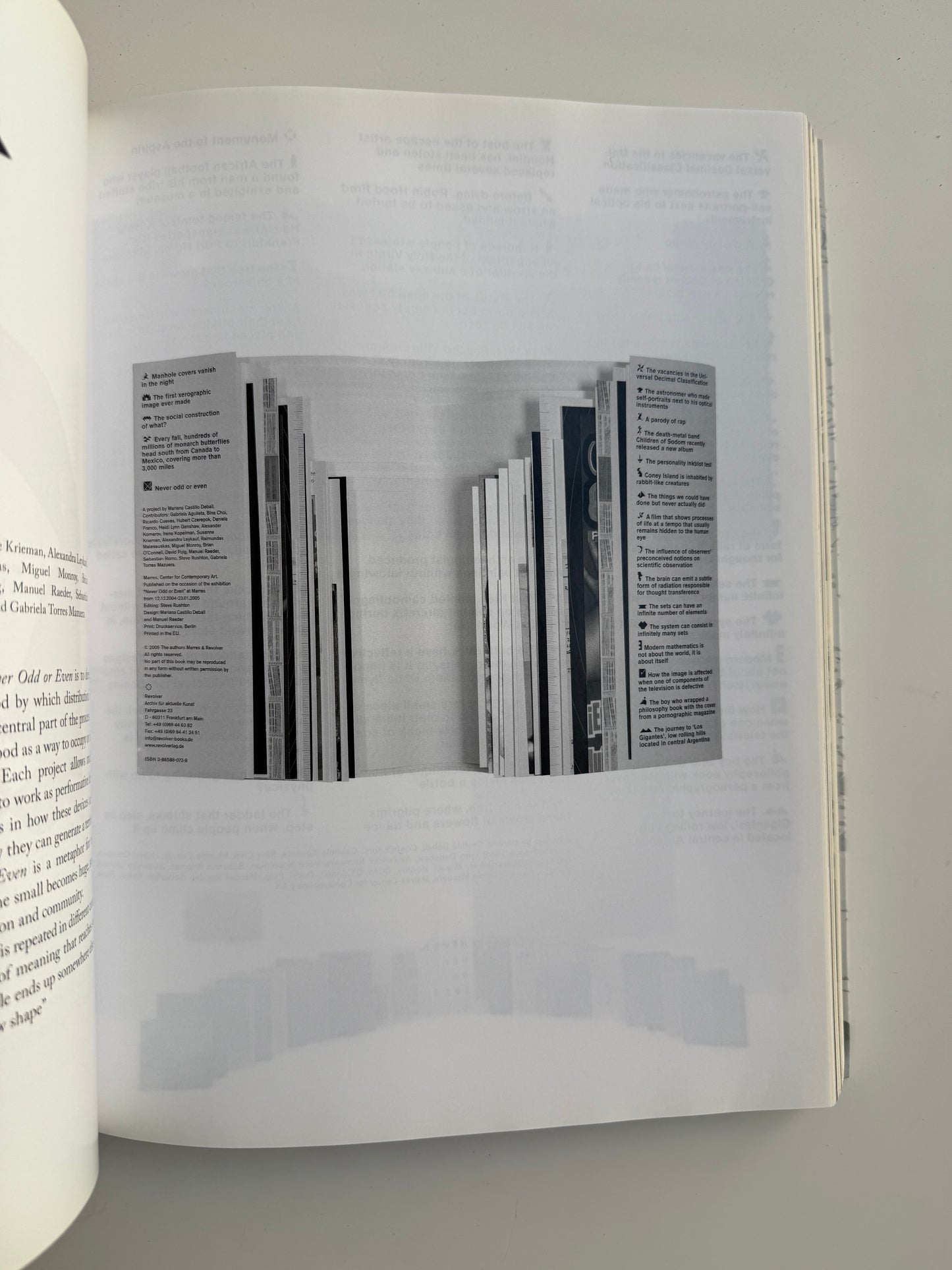 Mariana Castillo Deball, Parergon