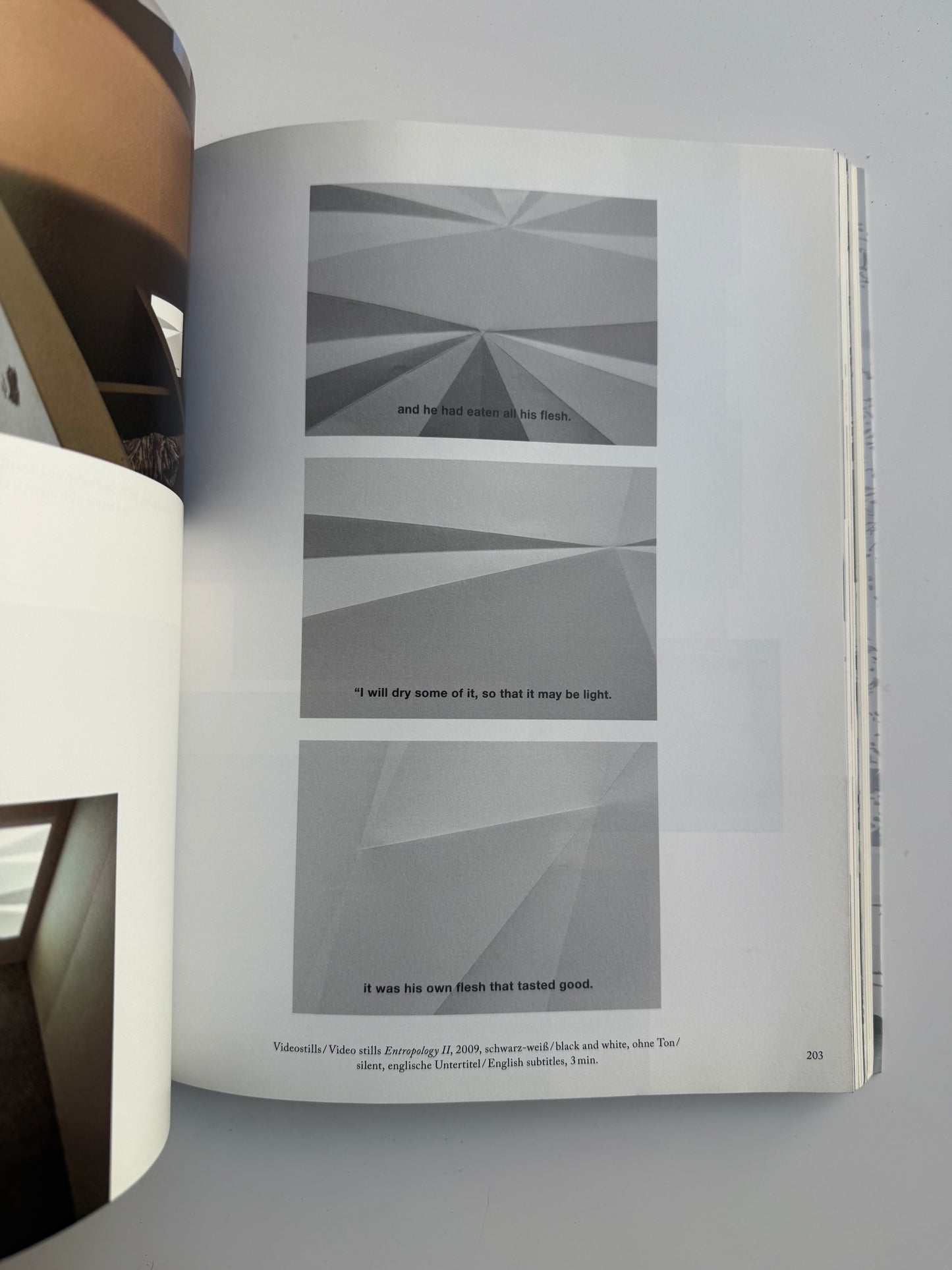 Mariana Castillo Deball, Parergon