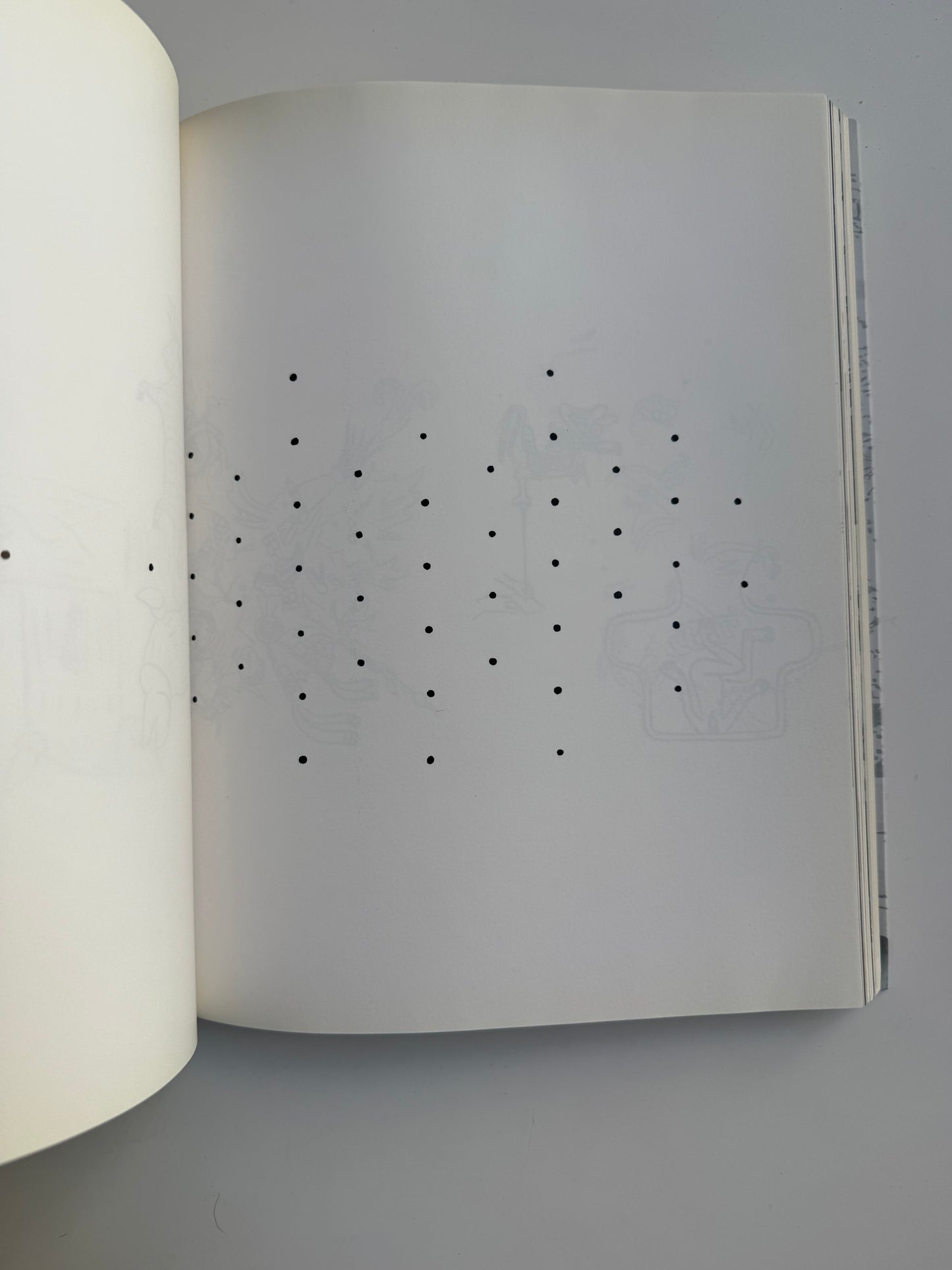 Mariana Castillo Deball, Parergon