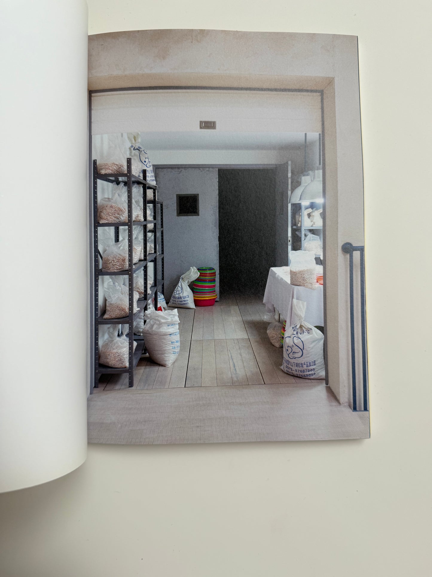 Mika Rottenberg, Easypieces