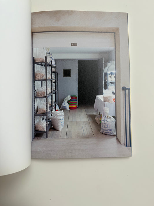 Mika Rottenberg, Easypieces