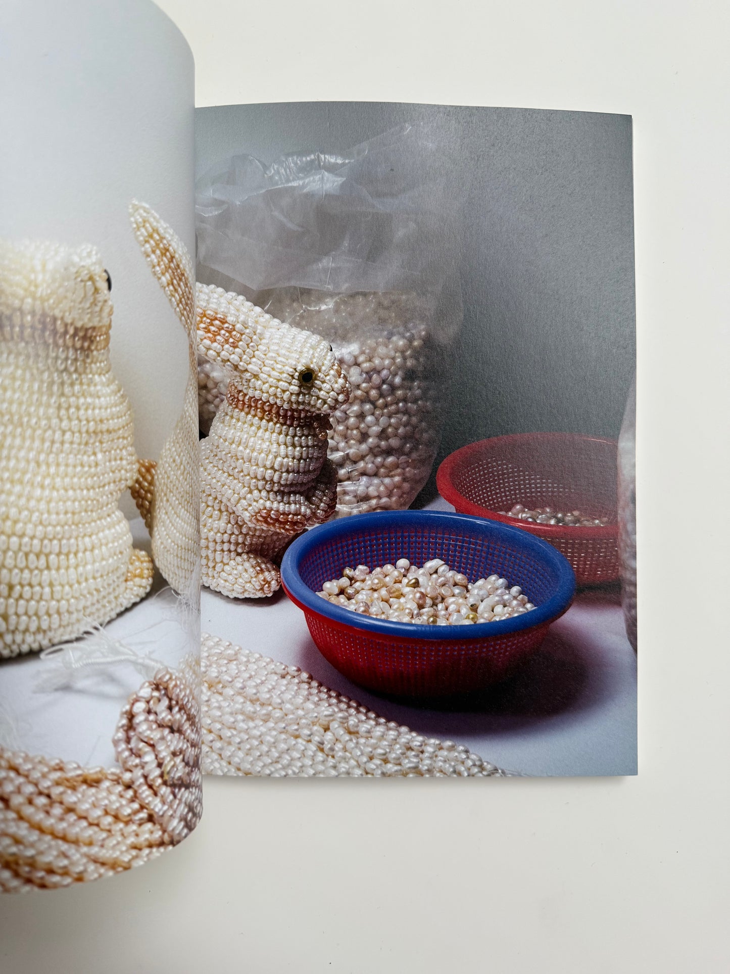 Mika Rottenberg, Easypieces
