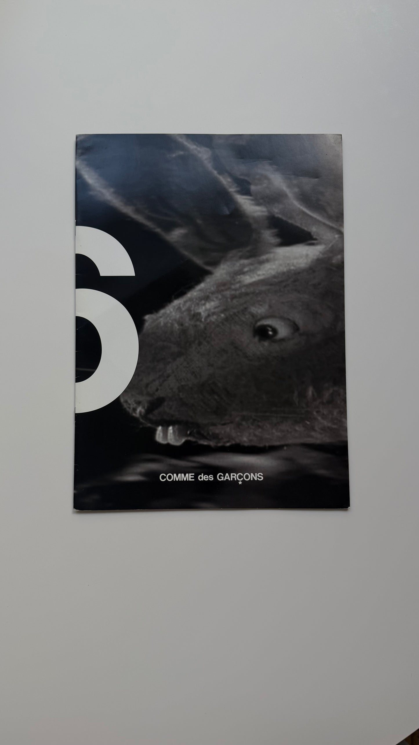 2009 Comme Des Garçons Flyer by The Quay Brothers