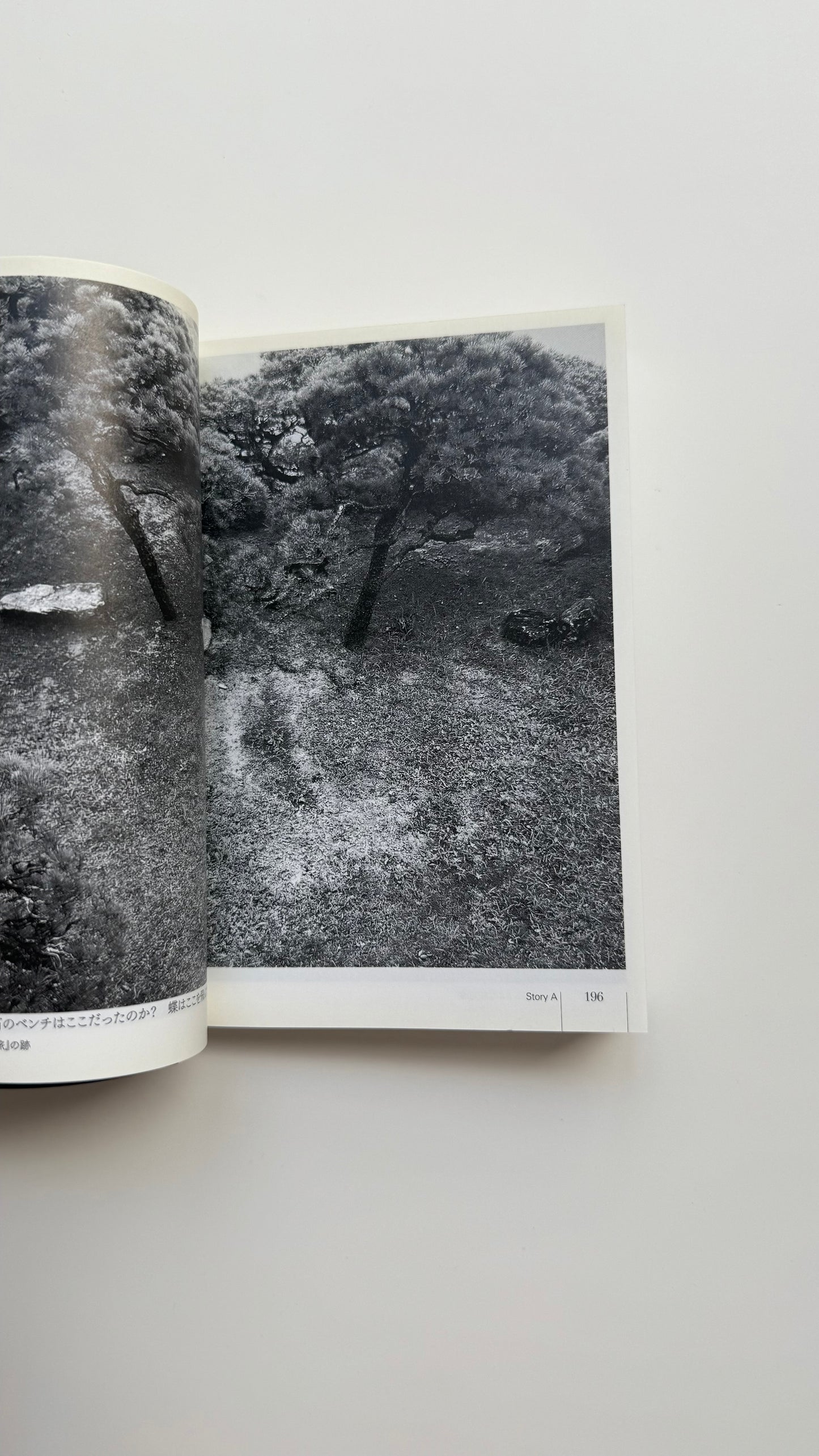 Nobuyoshi Araki photo reportage book "Story A" 1st edition Obi