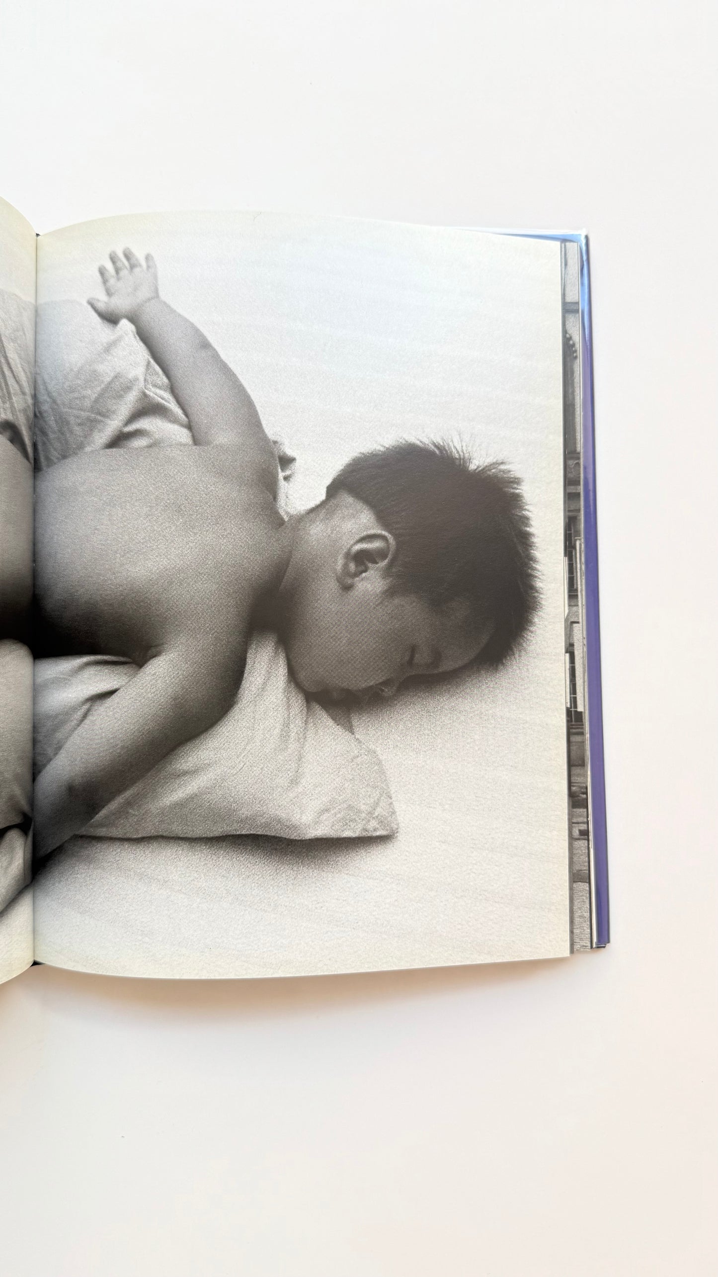 Mémoires 1995, Seiichi Furuya