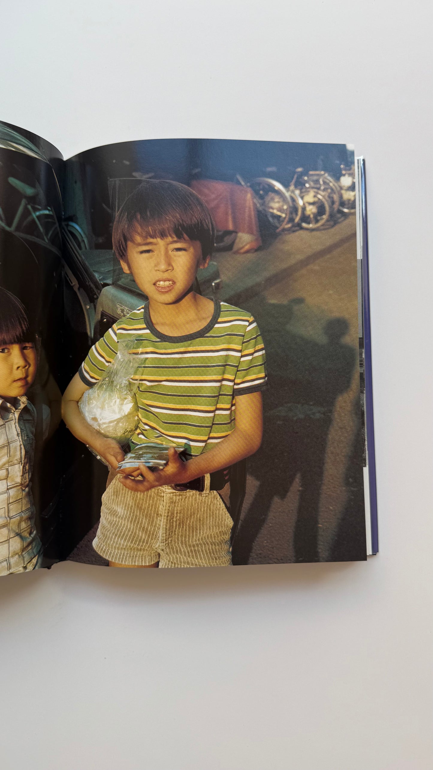 Mémoires 1995, Seiichi Furuya