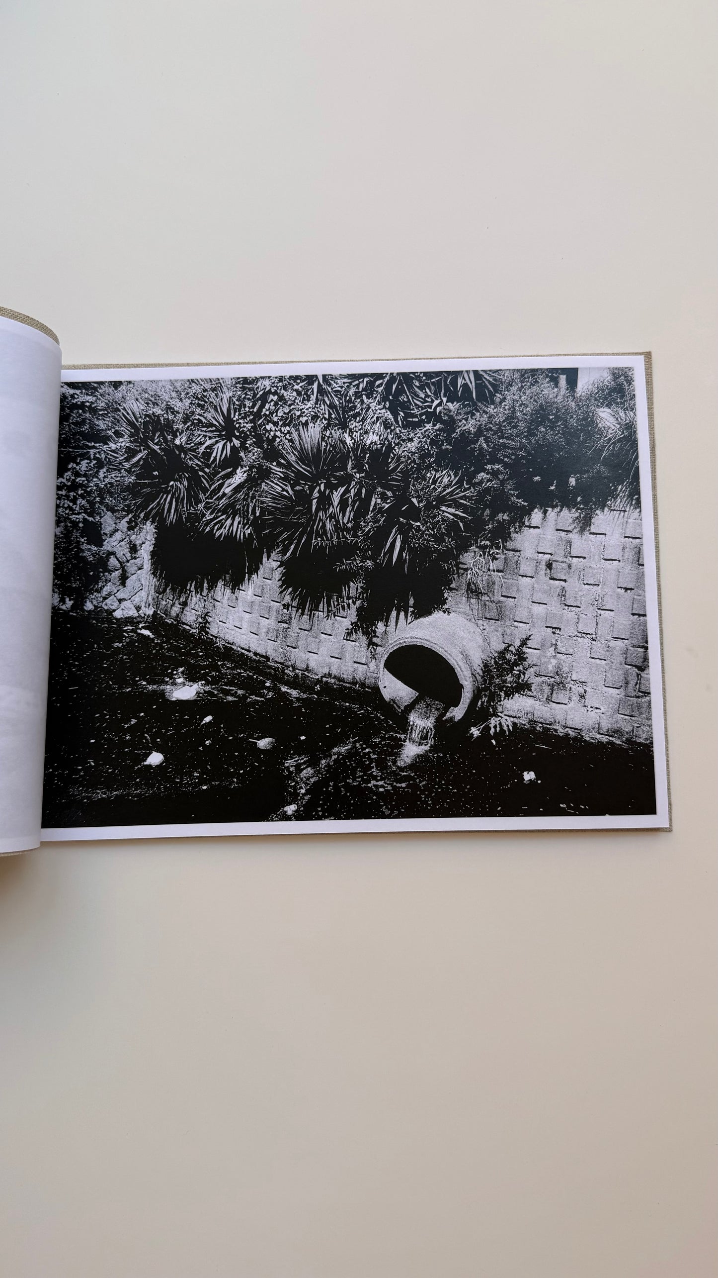 Dear Mr. Niépce, Daido Moriyama, signed copy