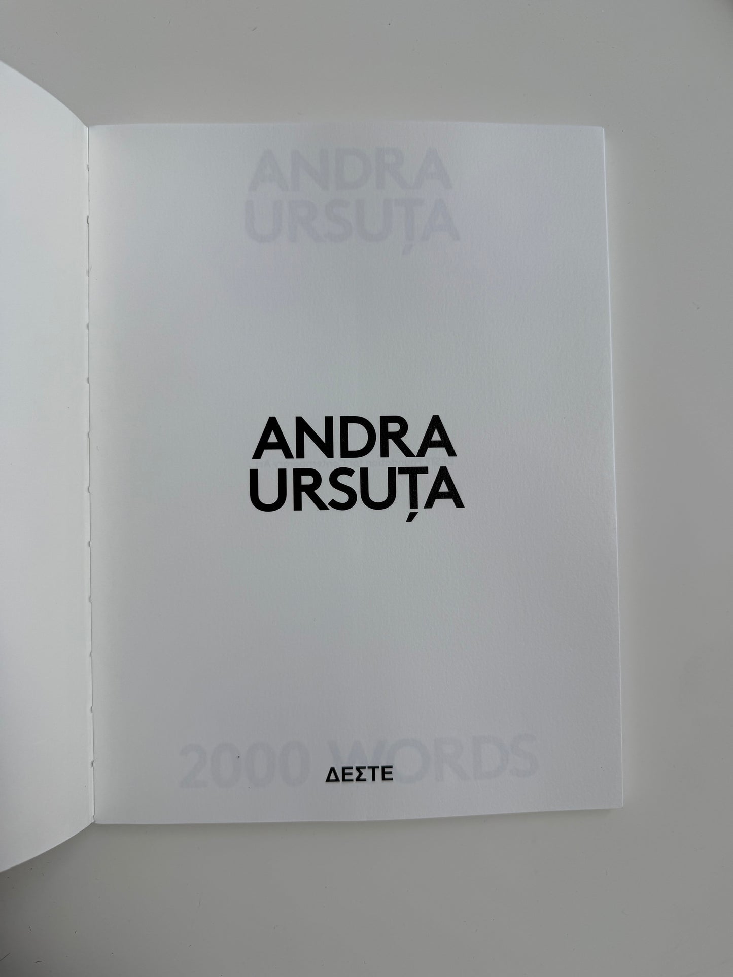 2000 Words: ANDRA URSUŢA