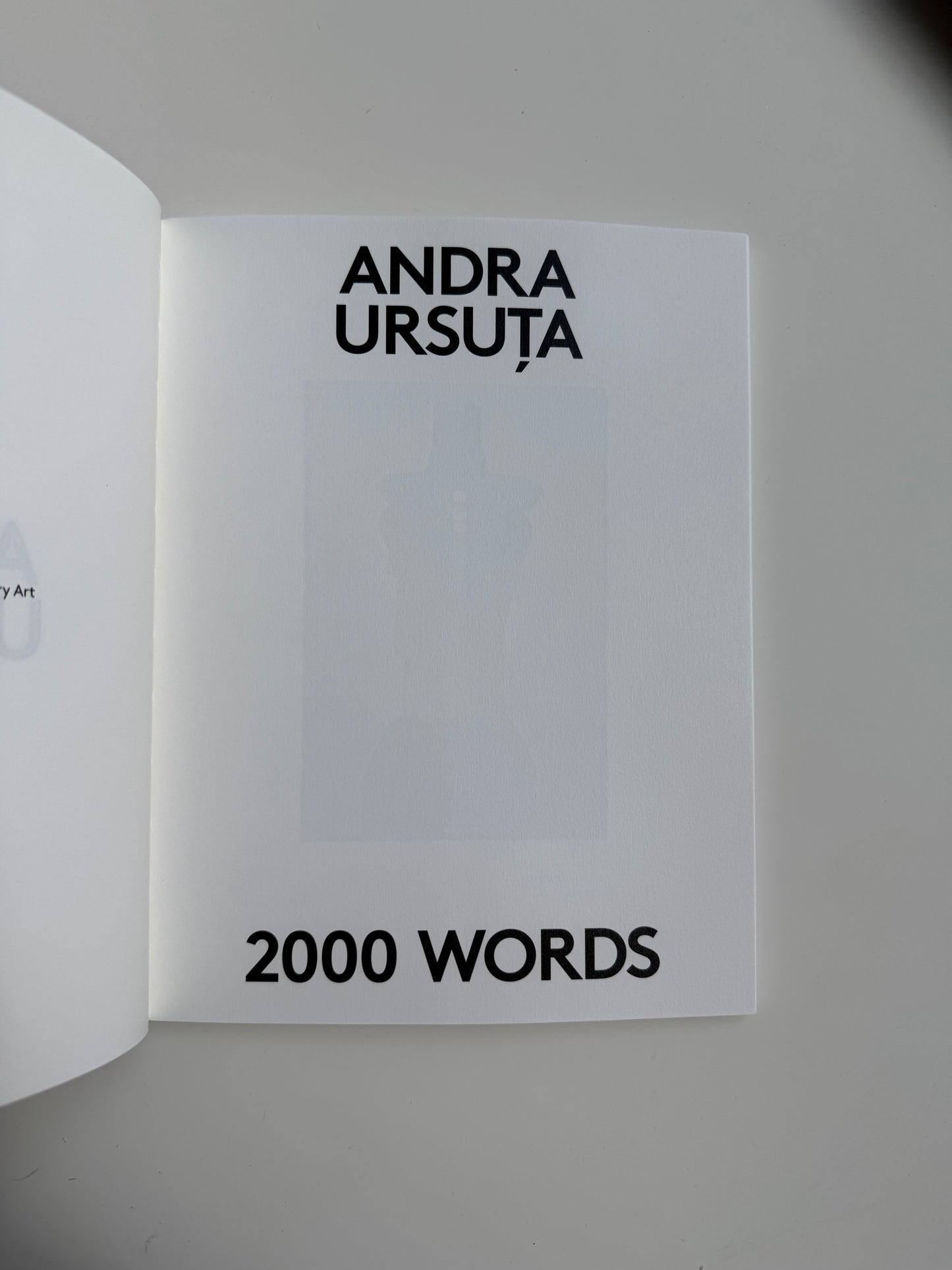 2000 Words: ANDRA URSUŢA