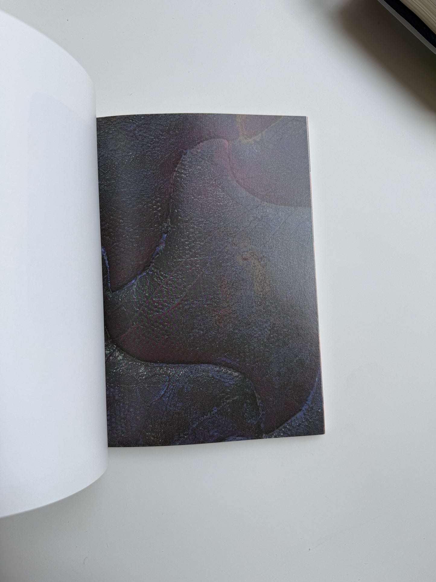 2000 Words: Kaari Upson