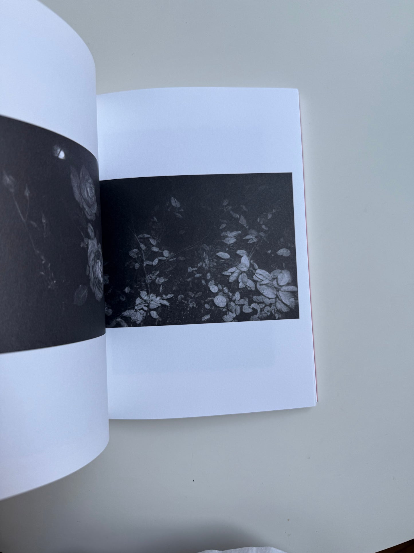 HESPERIOS JOURNAL NO.1: EUDAIMONIA