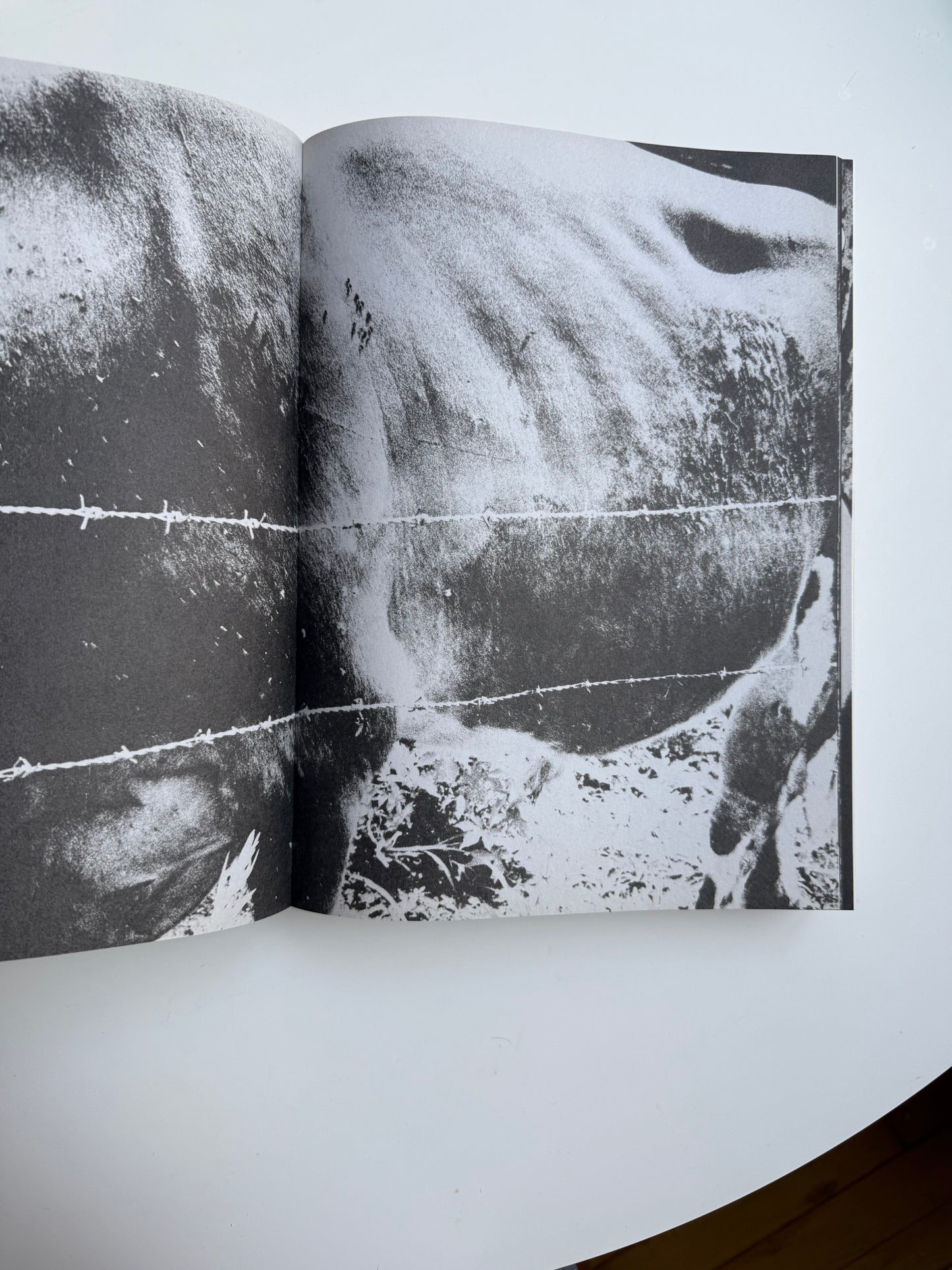 Daido Moriyama, Shashin Jidai 1981 - 1988