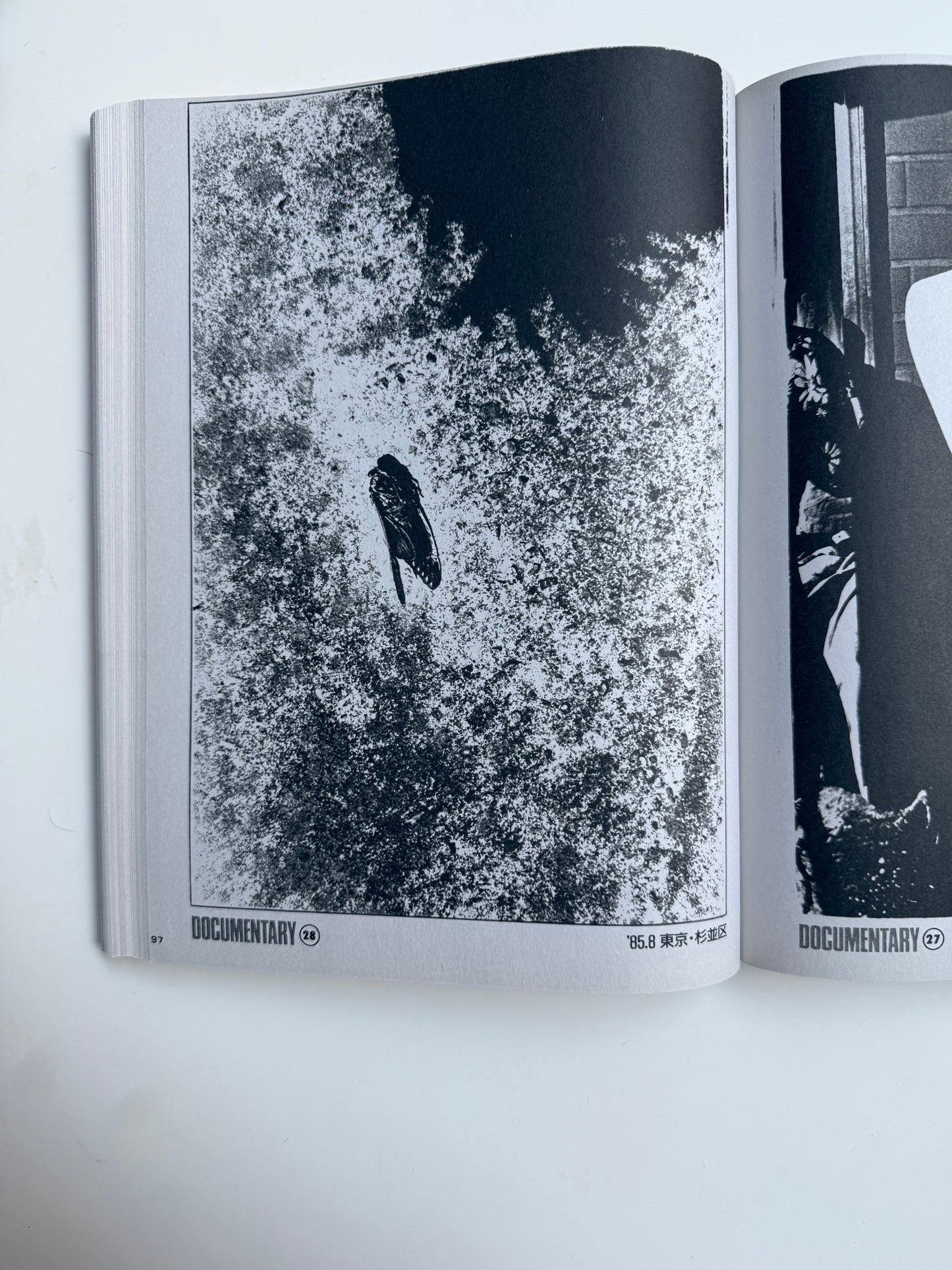Daido Moriyama, Shashin Jidai 1981 - 1988