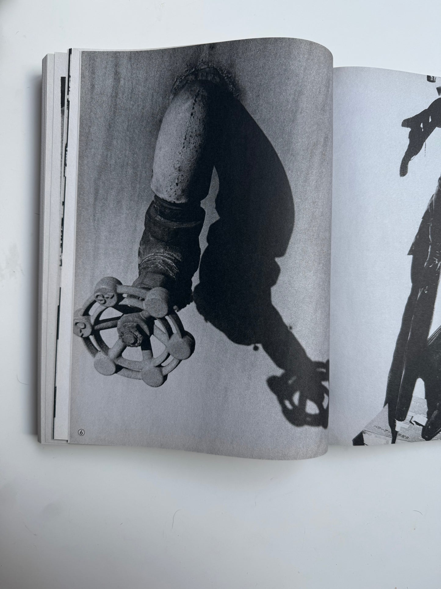 Daido Moriyama, Shashin Jidai 1981 - 1988