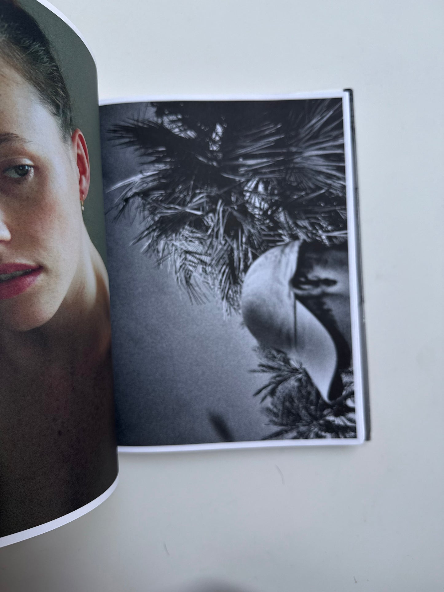 Ana Kras, Ikebana Albums