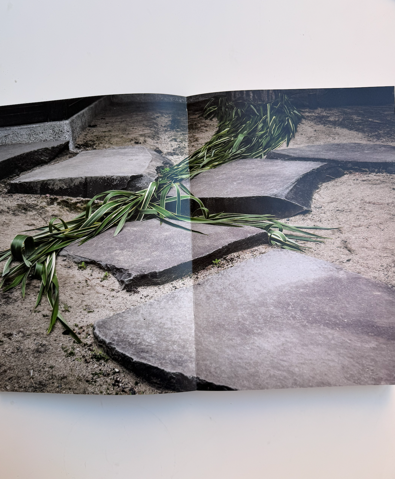 nenge, shinichiro otaga + satoshi kawamoto