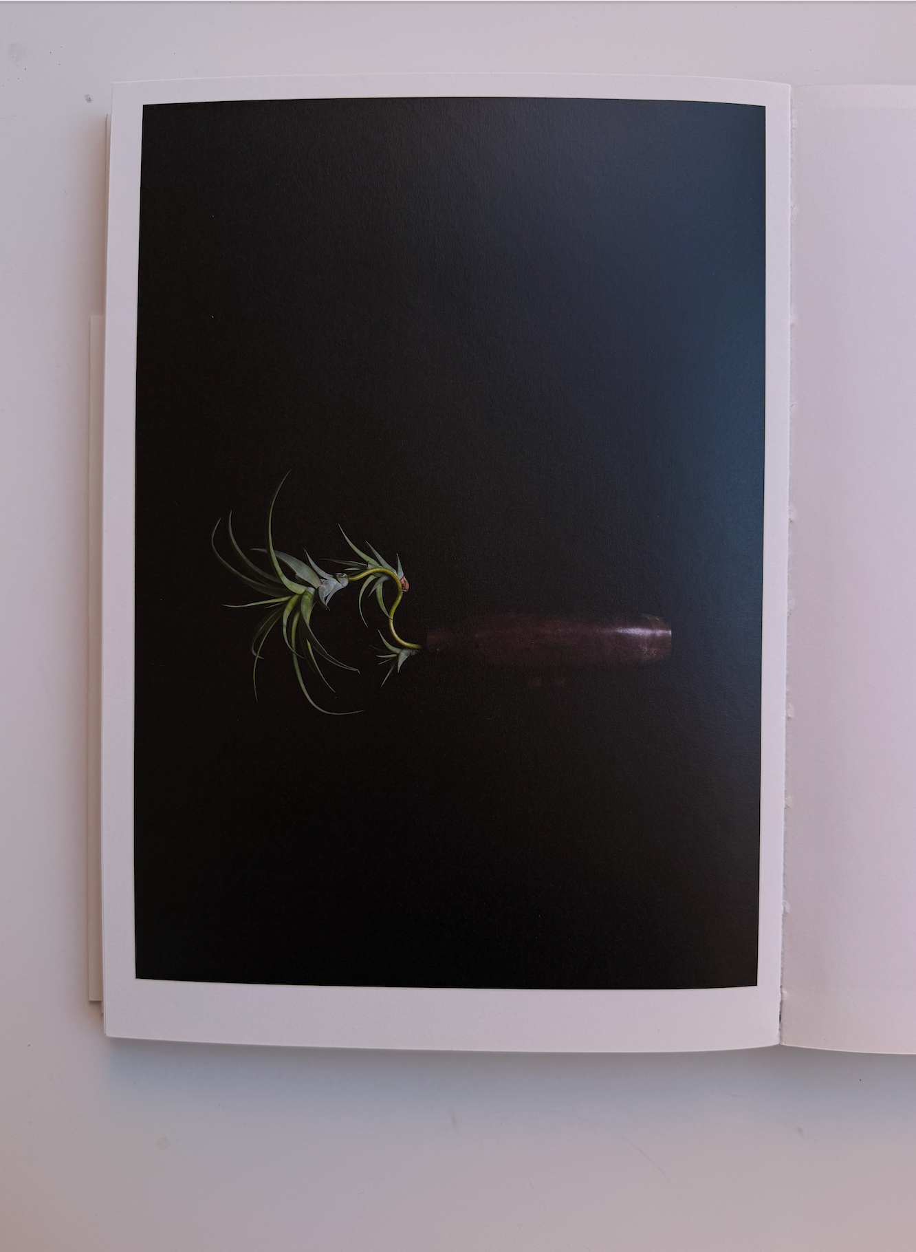 nenge, shinichiro otaga + satoshi kawamoto