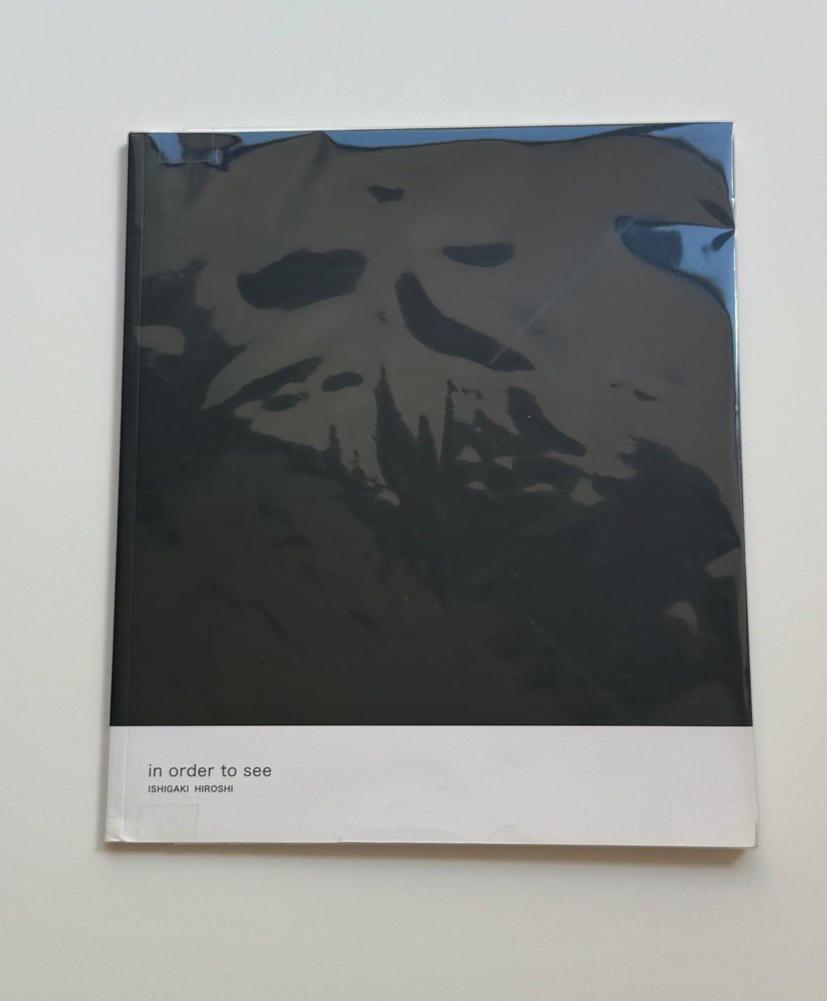 In Order To See, Hiroshi Ishigaki