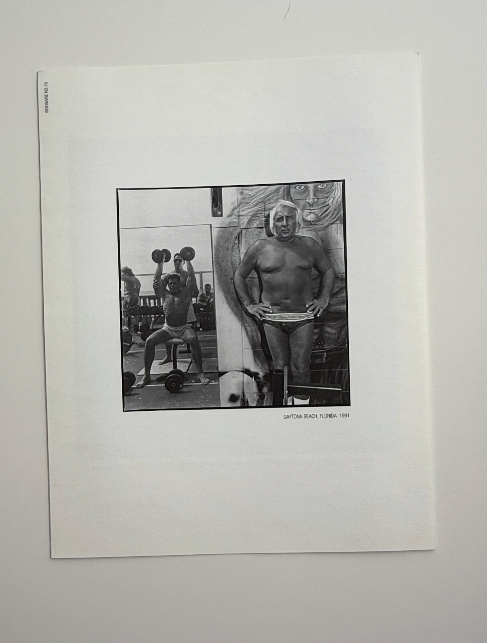 visionaire 19: beauty