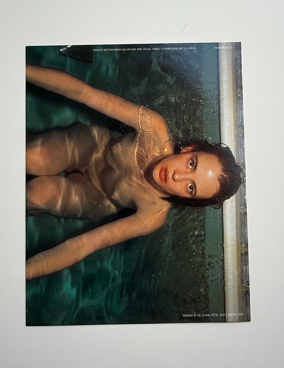 visionaire 19: beauty