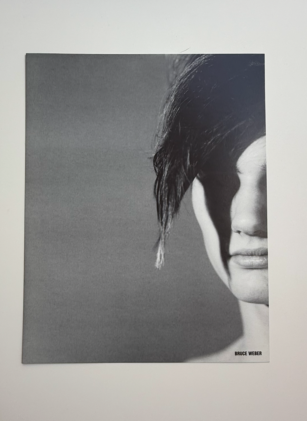 visionaire 19: beauty